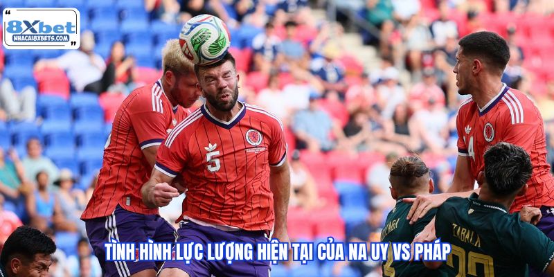 Tình hình lực lượng hiện tại của Na Uy vs Pháp